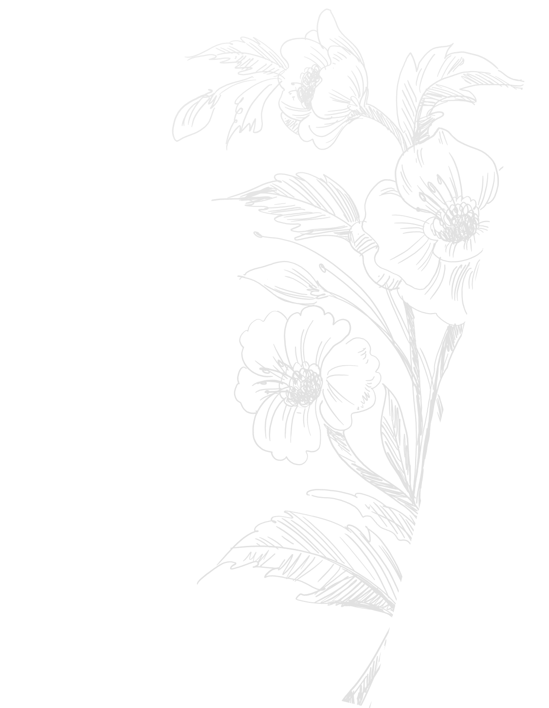 Layer Image