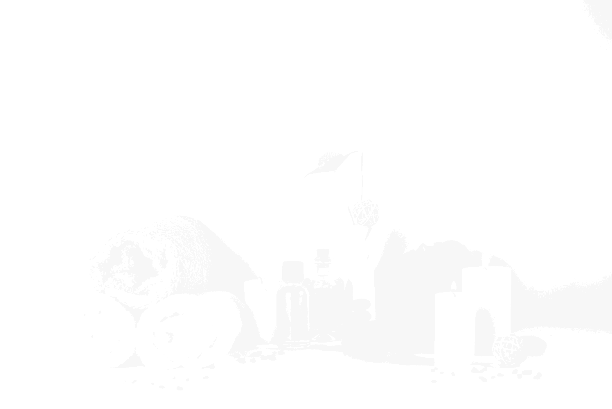 Layer Image