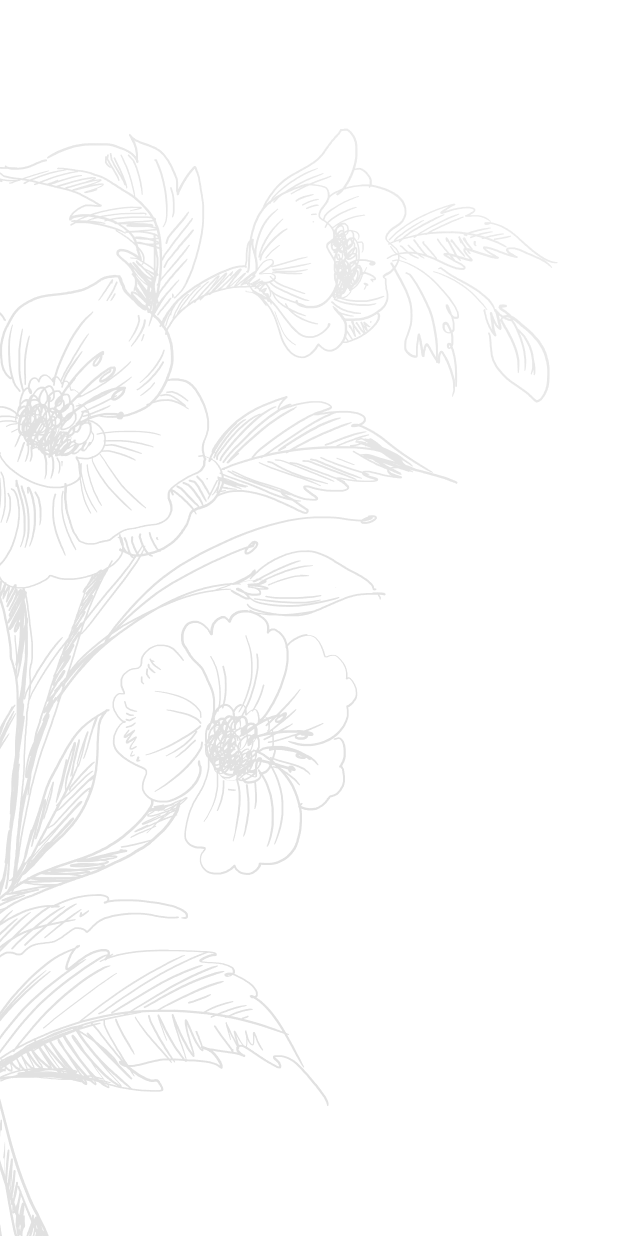 Layer Image