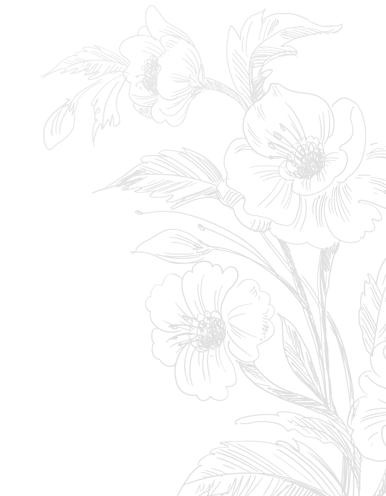 Layer Image